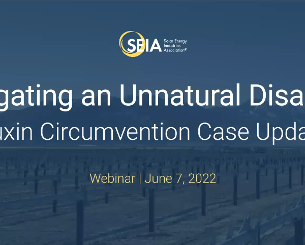 Mitigating an Unnatural Disaster: Auxin Circumvention Case Update